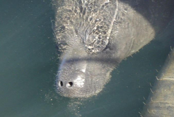 DSC04009 - Version 2