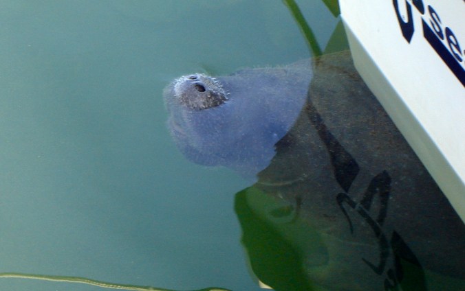 DSC04012 - Version 2