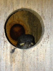 IMG_2302 - Version 2