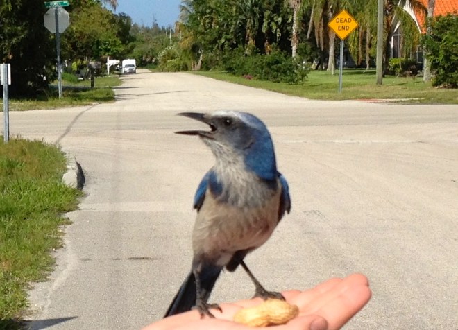 IMG_0702 - Version 2