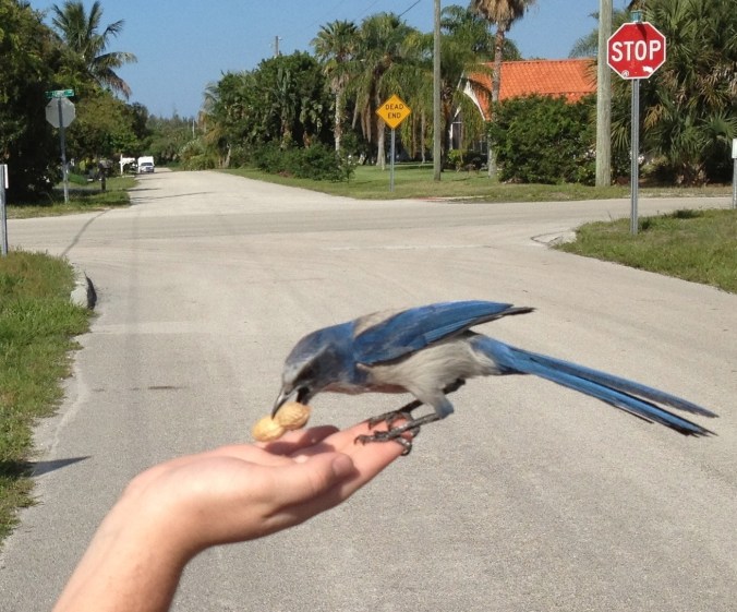 IMG_0704 - Version 2