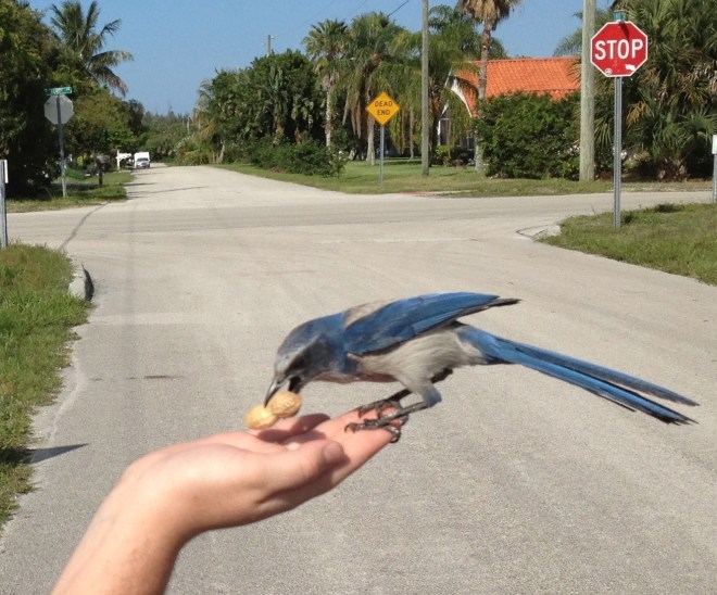 IMG_0704 - Version 2