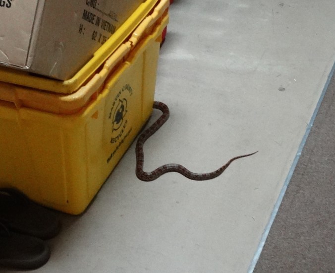 DSC01578 - Version 3