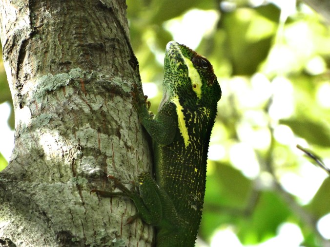 DSC01599 - Version 3